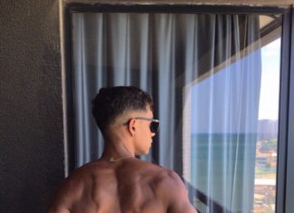 Daniel, le jeune étalon brésien